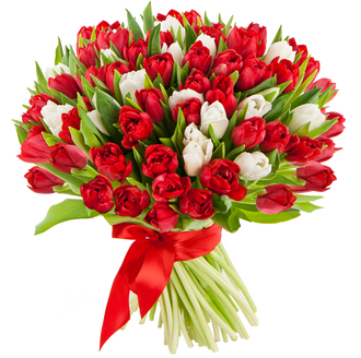 Букет в красно-белом цвете из 101 тюльпана