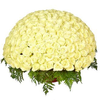 Элитная корзина из 201 белой розы