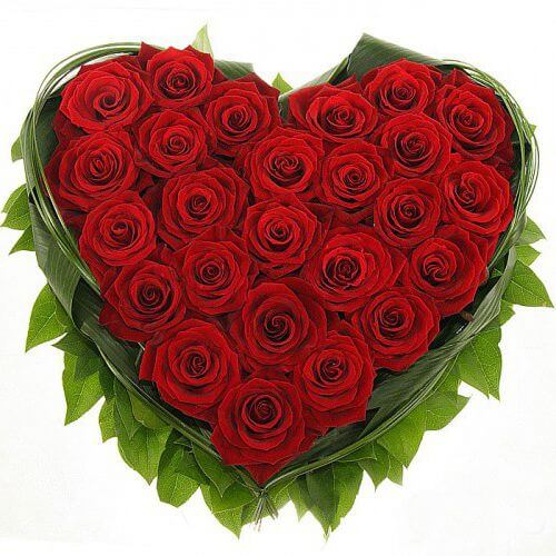Розы "Страстное сердце"