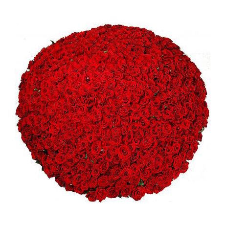 Композиция из 301 красной розы