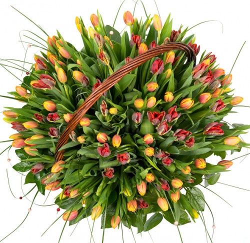 Большая корзина из 151 тюльпана разных цветов