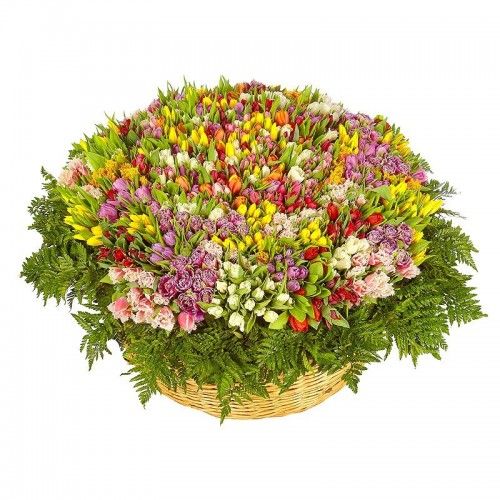 Большая корзина из 1001 разноцветного тюльпана на 8 марта
