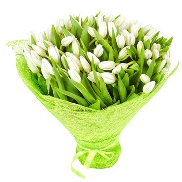 Шикарный букет белых тюльпанов