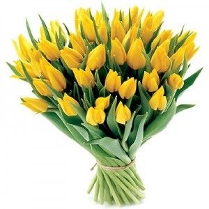 61 Желтый тюльпан