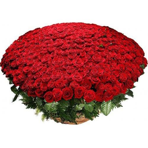 Роскошная корзина из 1001 красной розы
