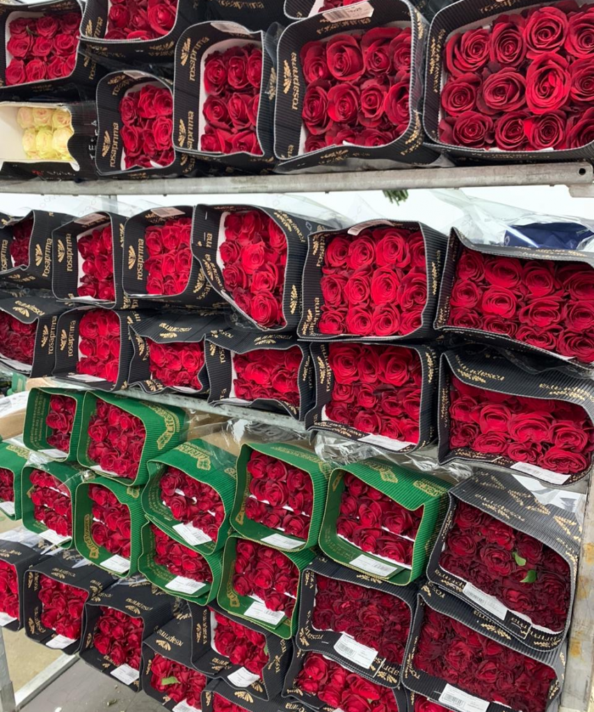 367857e1-110c-4ca6-9478-896a856b8576 (1).png