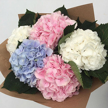 Милый букет с гортензиями "Жизель"