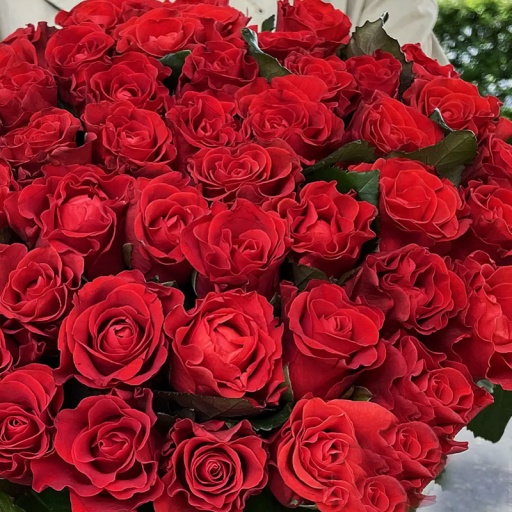 Большой букет из 51 розы Эль Торо