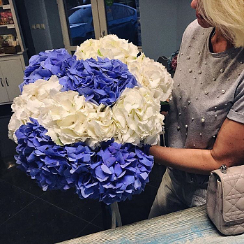 Гортензии "Иней"