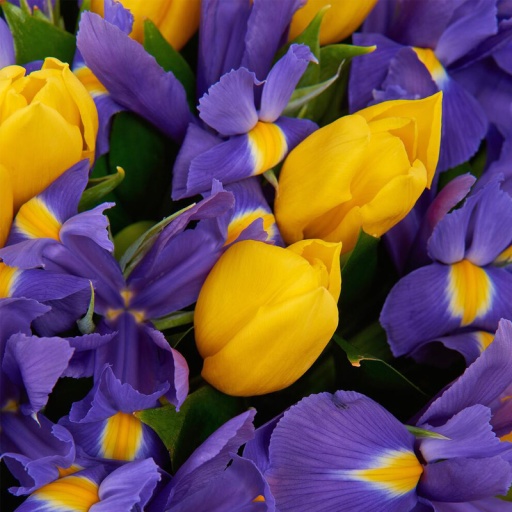 Сборный букет ирисов и тюльпанов "Яркая палитра"