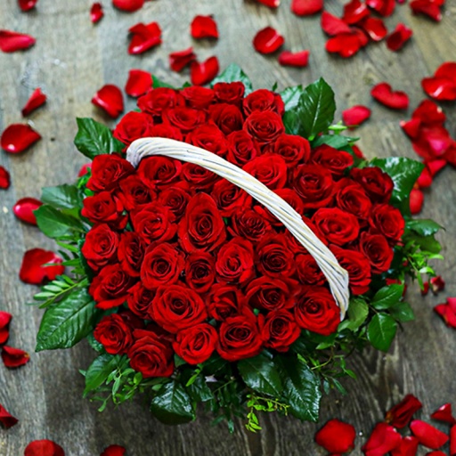 Фото Розы "Страстное сердце"