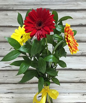 Фото Милый букет гербер "Трио гербер"