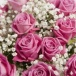 Розовые розы "Эмилия"