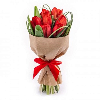 Фото 7 красных тюльпанов