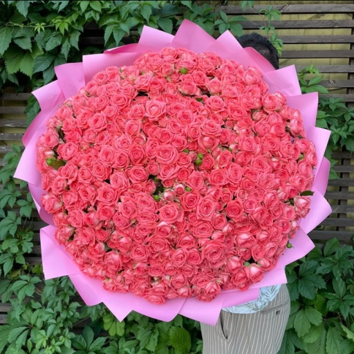 Огромный букет из 111 кустовых роз Барбадос