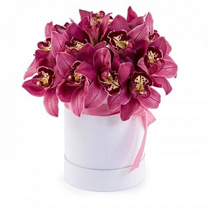 Орхидеи в коробке "Нежный пурпур"