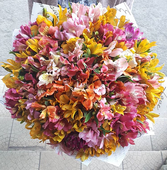 Букет из 101 Альстромерии Фото Букет из 101 Альстромерии