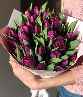 Букет из 37 стильных фиолетовых тюльпанов