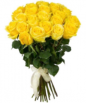 Букет из 19 желтых голландских роз