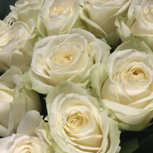 Букет из белых роз в крафте