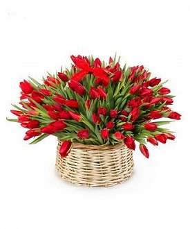 151 тюльпан красного цвета в корзине
