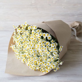 Фото Букет цветов "Ромашковый луг"