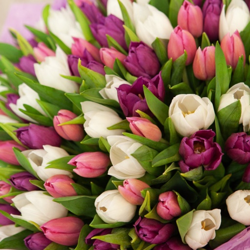 Большой яркий букет тюльпанов "Яркая фантазия"