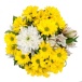 Кустовые хризантемы "Улыбка" Фото Кустовые хризантемы "Улыбка"