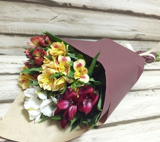 Фото Альстромерии "Яркие краски"