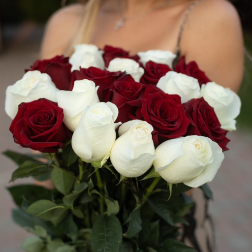 Яркий букет из 21 красной и белой голландской розы