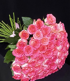 51 Роза нежно-розового цвета