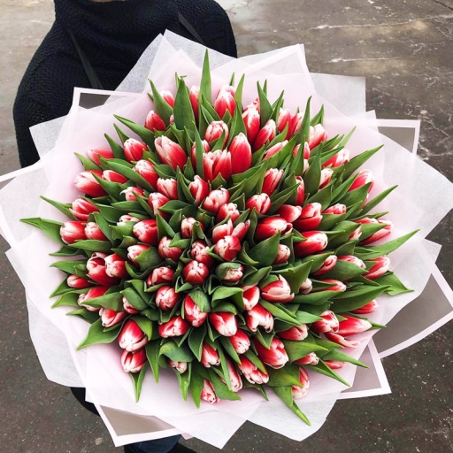 Фото Яркий букет из 101 тюльпана бело-красного цвета