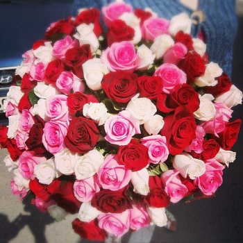 101 Красная, белая и розовая роза