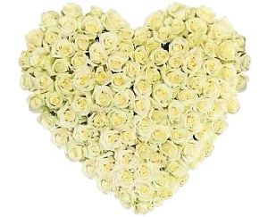 Букет в форме сердца из 101 белой розы