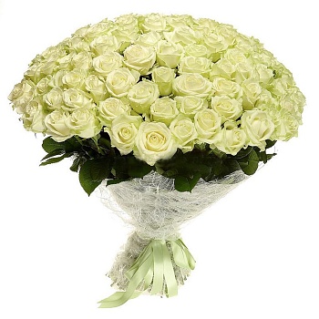 Большой букет из 101 белой розы