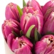 Фото 11 розовых тюльпанов в крафте