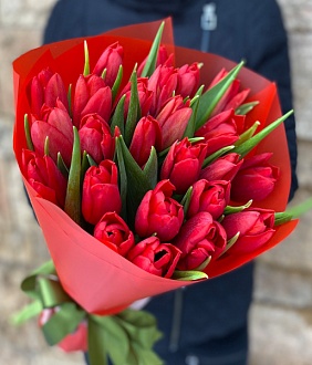 Букет из 25 тюльпанов "Красная осень"