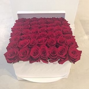 Коробочка с 51 розой "Только для тебя"