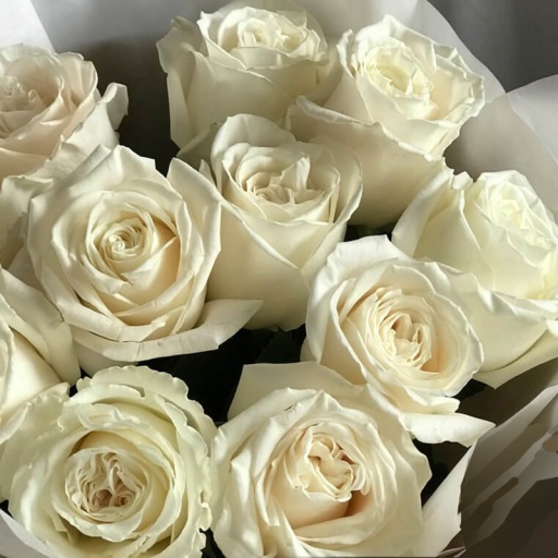 Фото Букет из 11 белых роз на 8 марта