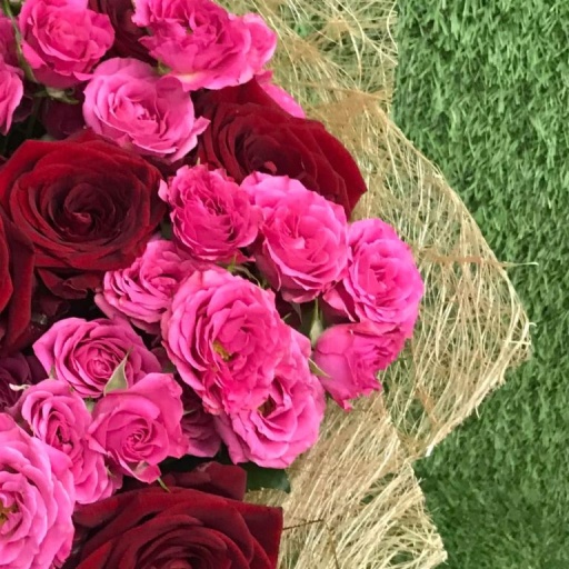 Фото Розы "Шарм"