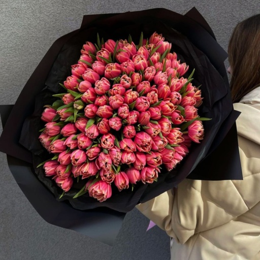 Букет из 101 пионовидного тюльпана красно-белого цвета