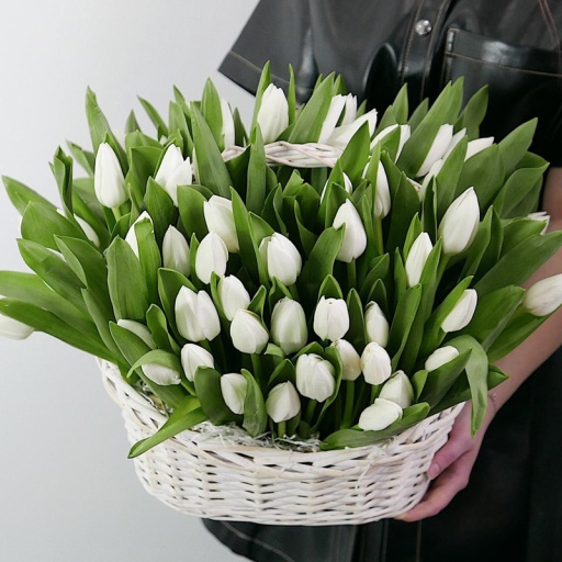 Фото Белые тюльпаны "Корзинка с облаками"