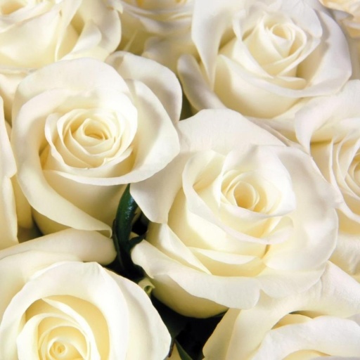 Букет "Авторский взгляд" из 7 белых роз