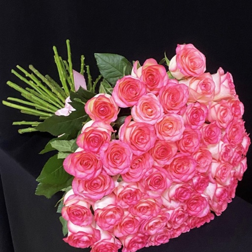 Фото 51 Роза нежно-розового цвета