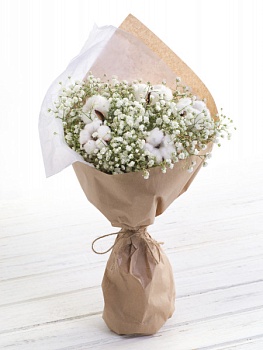 Гипсофилы "Белоснежная метелица"