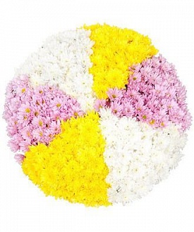 Милая композиция из 151 разноцветной хризантемы