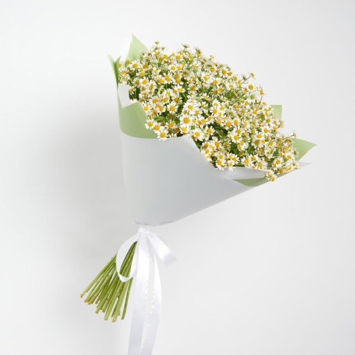 Букет ромашек "Весенняя нежность" Фото Букет ромашек "Весенняя нежность"