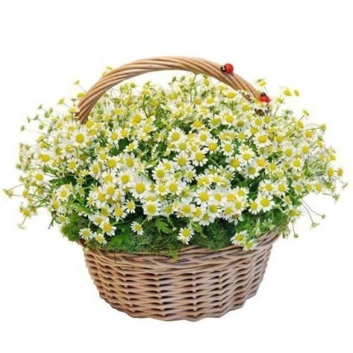 Фото Корзинка из 25 ромашек