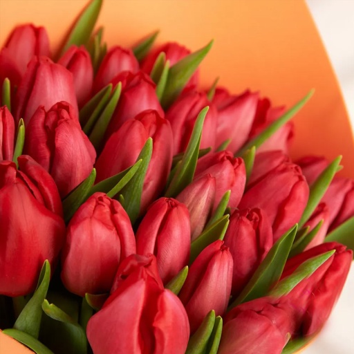 Букет из 35 красных тюльпанов