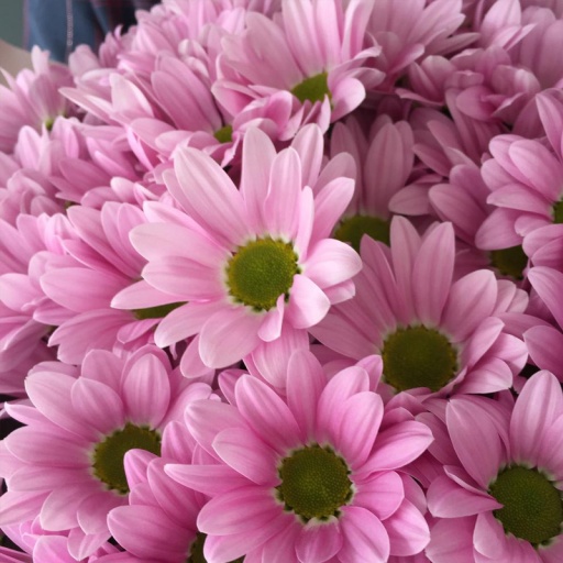 Фото Букет из хризантем "Экспириенс"